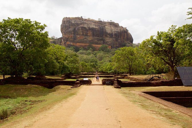 Private Day Trip to Sigiriya, cave and National park Safari Tour - Third Stop: Minneriya National Park Safari