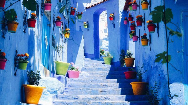 Private - Day Trip to the Blue City of Chefchaouen - Exploring the Journey: What to Expect from Start to Finish