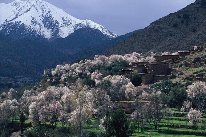 Private Day Trip to the High Atlas Mountains from Marrakech - An In-Depth Look at the Experience