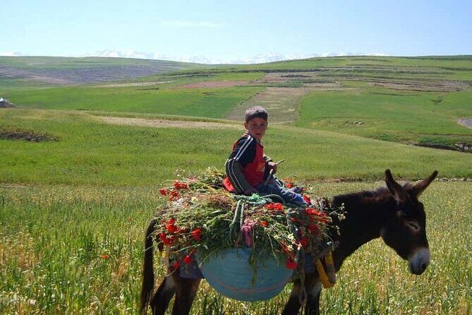 Private Day Trip to the High Atlas Mountains from Marrakech - Frequently Asked Questions