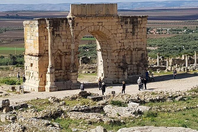 Private Day Trip to Volubilis, Moulay Idriss, and Meknes from Fez (Fes) - The Transportation and Service Experience
