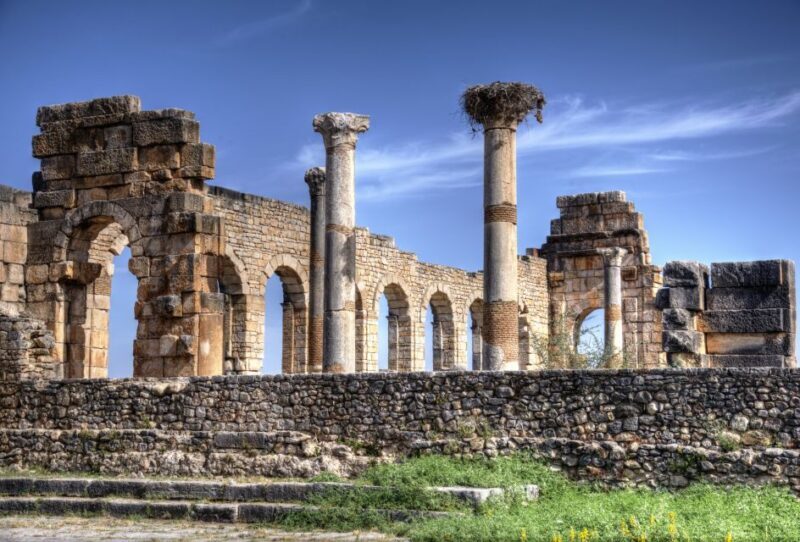 Private Day Trip to Volubilis, Moulay Idriss and Meknes - Who will love this trip?