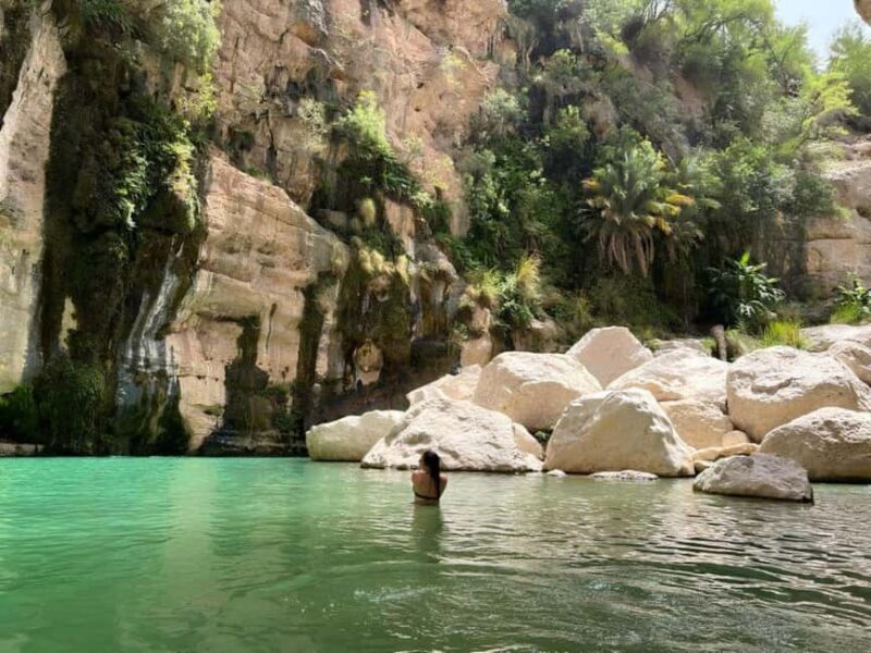 Private Day Trip to Wadi Tiwi, Fins Beach, Bimmah Sinkhole - Key Points