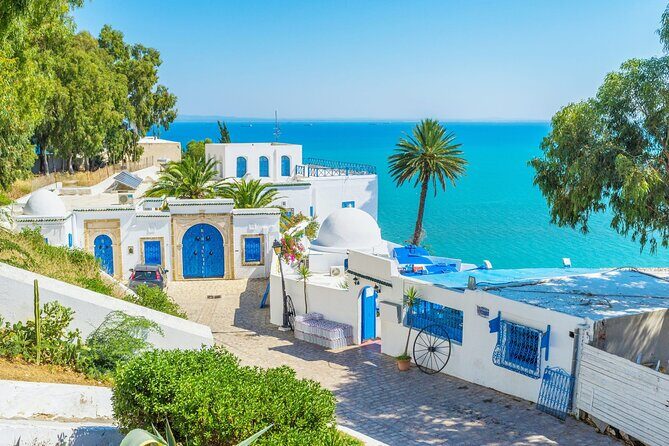 Private Day Trip Tunis Carthage Sidi Bou Said - Who Will Enjoy This Tour?