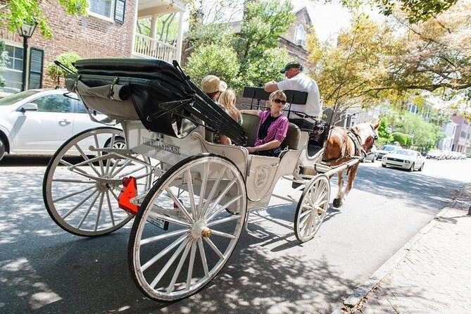 Private Daytime Horse-Drawn Carriage Tour of Charleston - Authentic Experiences and Common Feedback