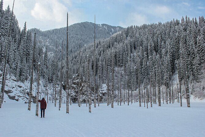 Private DayTour - Pearl Lakes Kolsai & Kaindy (Flooded Forest) via Charyn Canyon - The Sum Up: Is This Tour Right for You?