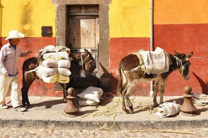 Private DayTrip Guanajuato City to San Miguel de Allende and back - Delving Into the Itinerary