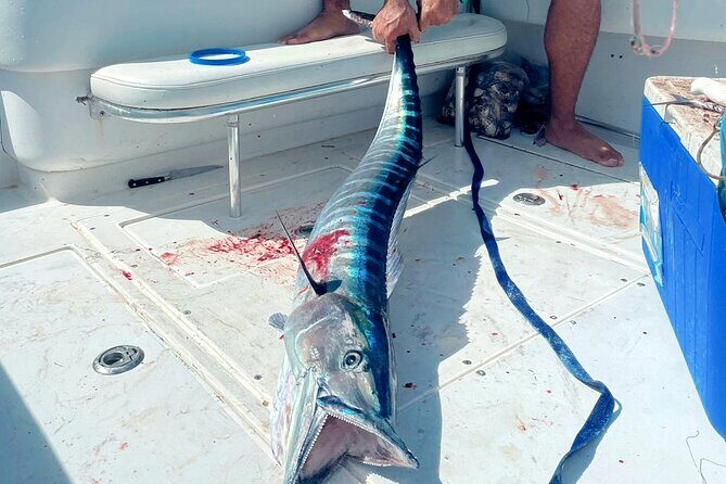 Private Deep Sea Fishing Experience in Grand Cayman - The True Value of a Private Deep-Sea Fishing Trip