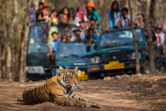 Private Delhi Agra Jaipur Multi Day Tour - An In-Depth Look at the Itinerary