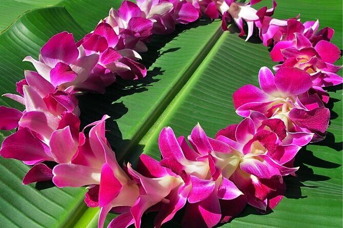 Private Departure Transfer: Big Island Hotels to Kona International Airport - In-Depth Review of the Private Departure Transfer