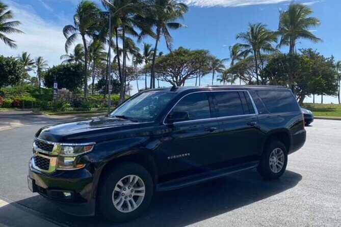 Private Departure Transfer: Big Island Hotels to Kona International Airport - Who Will Benefit Most from This Service?