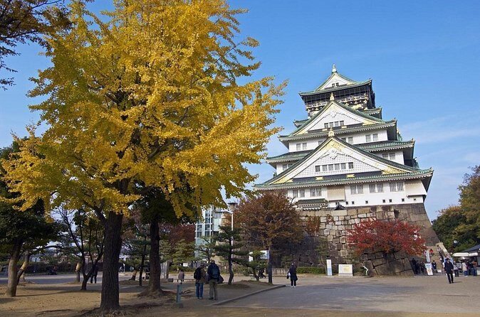 Private Departure Transfer: Osaka City to Osaka Itami Airport - The Sum Up