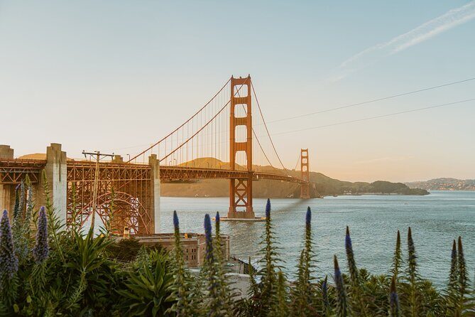 Private Departure Transfer San Fransisco City to SFO Airport - What You Can Expect: The Booking and Pickup Process