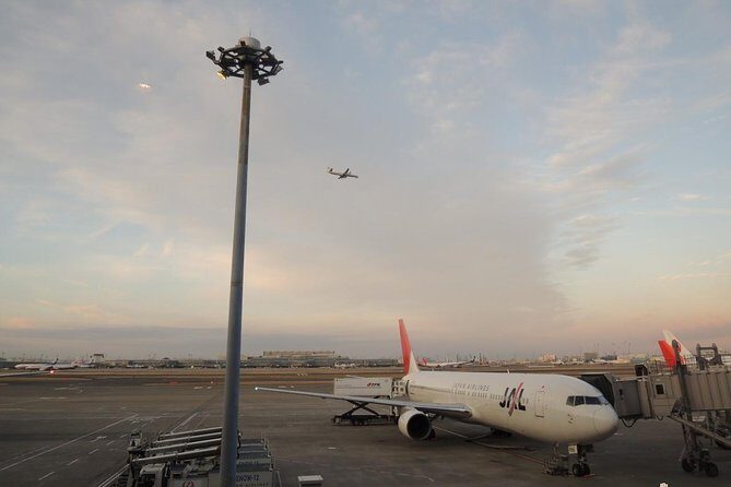 Private Departure Transfer : Tokyo Disney to Haneda International Airport - Why Consider a Private Transfer from Tokyo Disney to Haneda Airport?