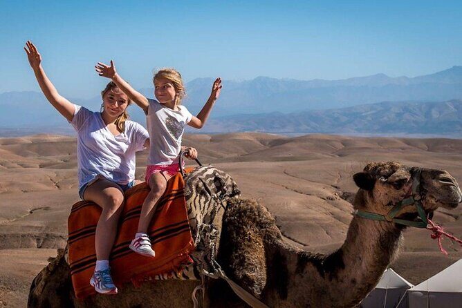 Private Desert Agafay Dinner show & Camel Ride - Why This Tour Offers Great Value