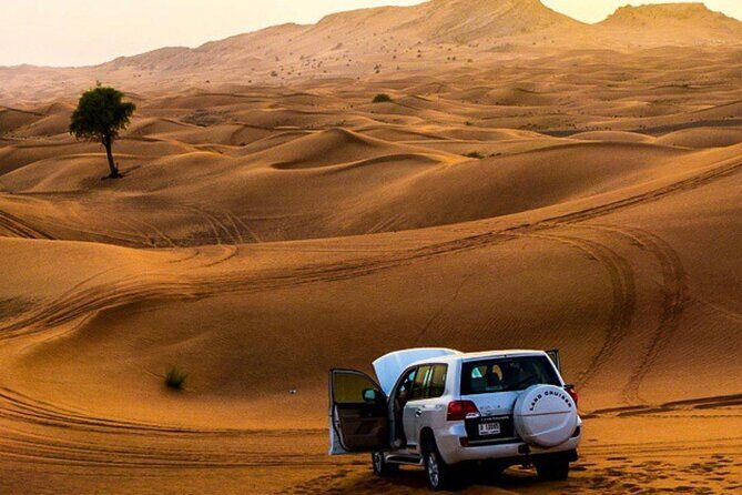 Private Desert Excursion with camel ride Sandboard & BBQ Dinner - Who Will Love This Tour?