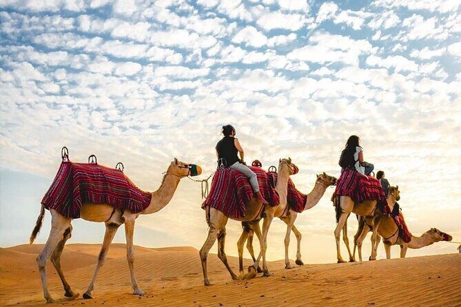 Private Desert Excursion with camel ride Sandboard & BBQ Dinner - Final Words