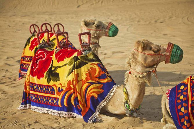 Private Desert Safari Dubai with BBQ Dinner - Addressing the Reviews