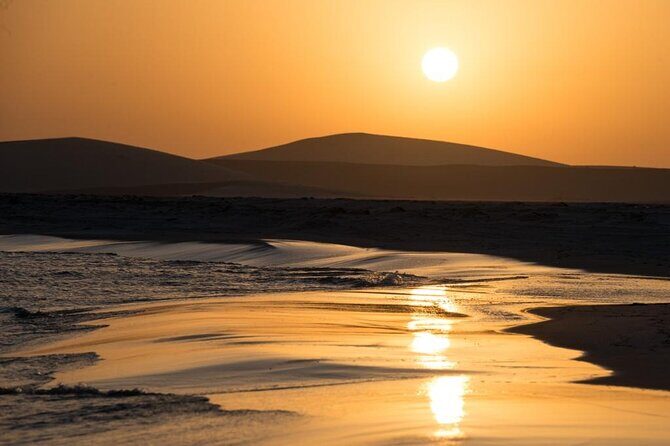 Private Desert Safari Fast Track - The Value of the Tour