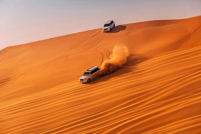Private Desert Safari in Dubai with Pickup - Introduction: Is This Dubai Desert Safari Right for You?