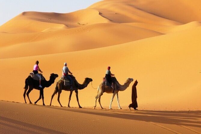 Private Desert Safari in Dubai with Pickup - A Closer Look at the Itinerary