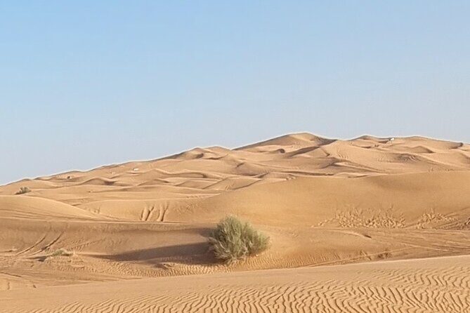 Private Desert Safari in Dubai with Pickup - Analyzing the Price and Overall Value