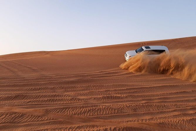 Private Desert Safari Red Dune with BBQ, Sand Boarding and Camel Ride - Who Should Consider This Tour?