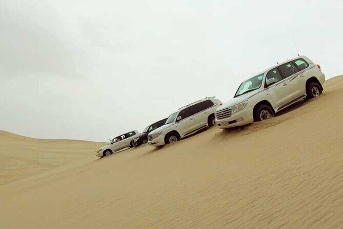 Private Desert Safari, Sand Dunes Bashing and Inland Sea Visit - An In-Depth Look at the Desert Safari Experience