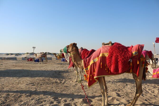 Private Desert Safari Tour 4 hours - The Itinerary Breakdown: What You Can Expect
