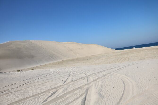 Private Desert Safari Tour 4 hours - Transportation, Timing, and Group Size