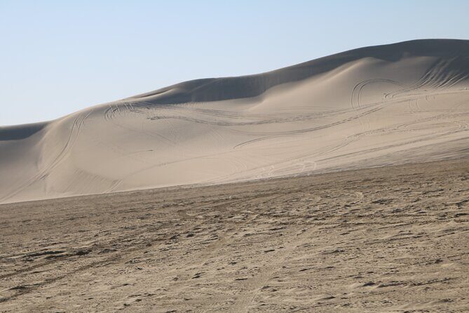 Private Desert Safari Tour 4 hours - Frequently Asked Questions (FAQs)
