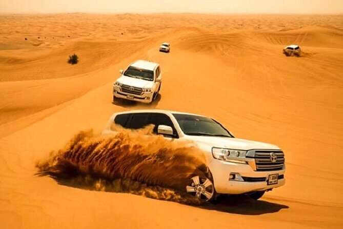 Private Desert Safari Tour With Dune Bashing in Dubai - An In-Depth Look at the Dubai Desert Safari