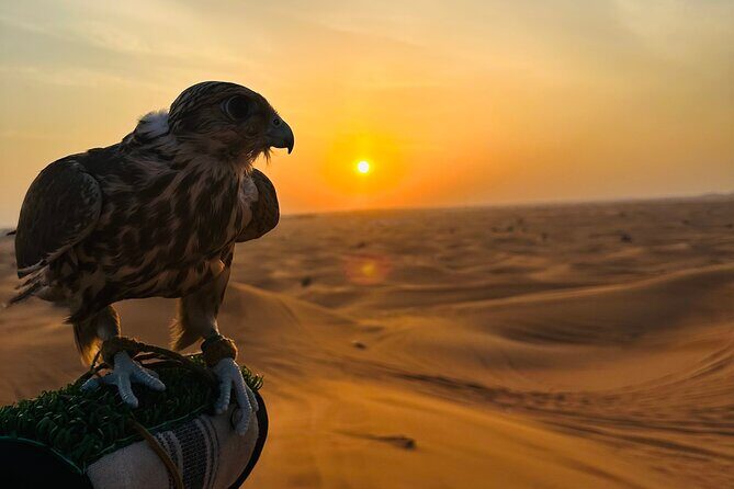 Private Desert Safari with ATV Quad Bike - FAQ