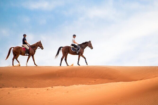 Private Desert Safari with Dune Bashing and Sandboarding - Why This Tour is Perfect for You