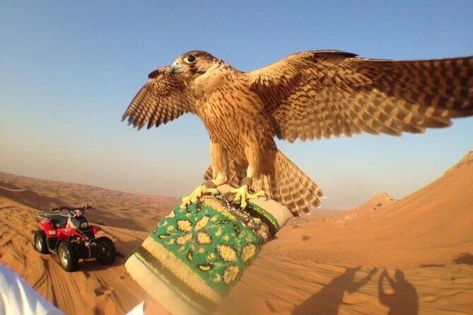 Private Desert Safari with Dune Bashing and Sandboarding - The Sum Up: Is This Desert Safari the Right Choice?