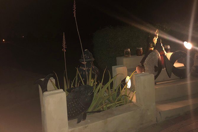 Private Desert Safari with Premium camp - The Sum Up