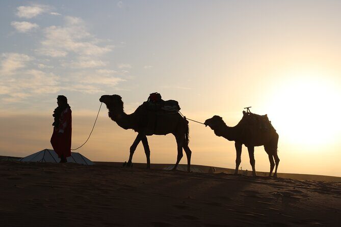 Private Desert Tour To Draa Valley And Zagora From Marrakech - A Full Breakdown of the 2-Day Marrakech to Zagora Desert Tour