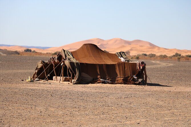 Private Desert Tour To Draa Valley And Zagora From Marrakech - Final Word