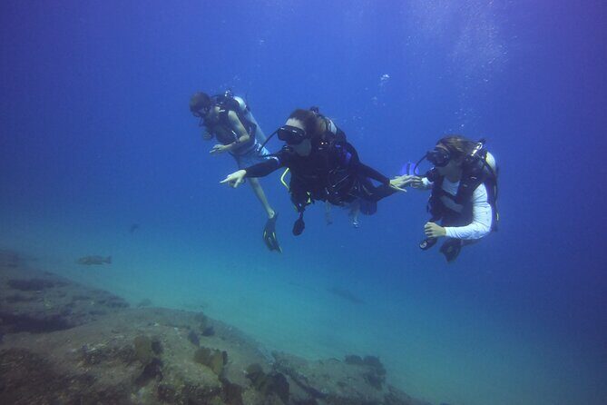 Private Dive Boat for Certified Divers - Cabo San Lucas - Why This Tour Might Be Perfect for You