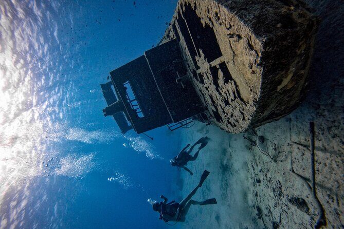 Private Dive + videographer/Photographer (Certified divers only) - What to Expect from This Aruba Private Dive Adventure