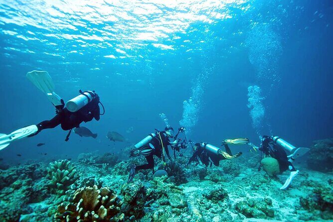 Private Diving Experience in Nusa Dua with Hotel Pick Up - A Deep Dive into the Experience