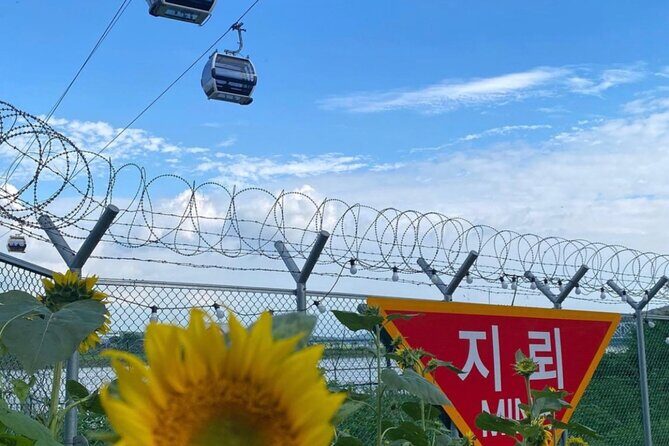 [Private] DMZ & Imjingak Peace Gondola Experience Inter-Korean War - Who Should Consider This Tour