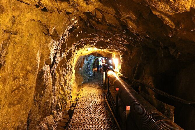 Private DMZ Peace Tour: 3rd Invasion Tunnel and Suspension Bridge - The Value for Money
