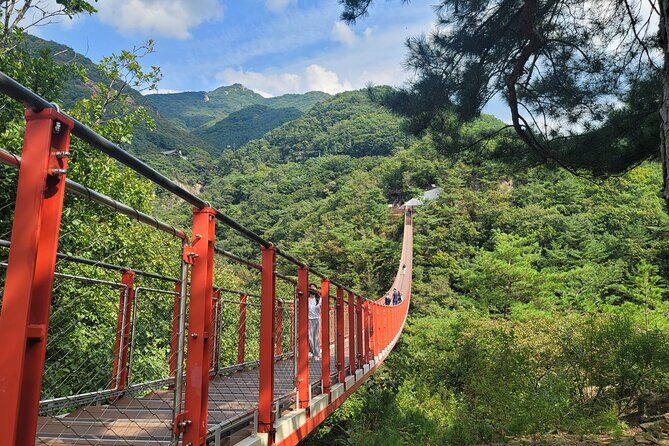 Private DMZ Tour and Suspension Bridge + Korean BBQ - In The Sum Up
