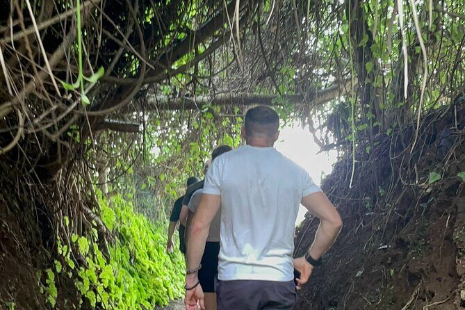 PRIVATE DMZ Tour from Hue - Half Day - Vinh Moc Tunnels - An In-Depth Look at the Itinerary