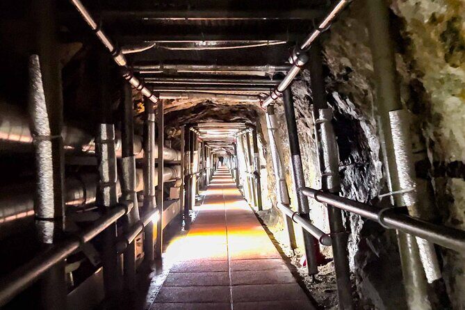 Private DMZ tour(Tunnel / Observation) with hotel pick up - The Practical Side: Logistics and Value