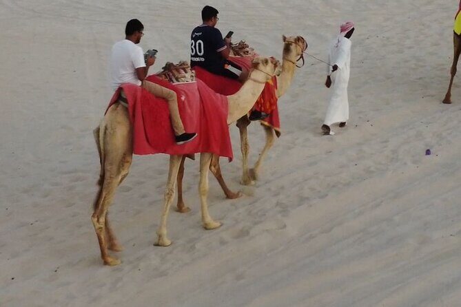 Private-Doha Horse Ride/Camel Ride/Quad Bike All Inclusive Tour - Key Points