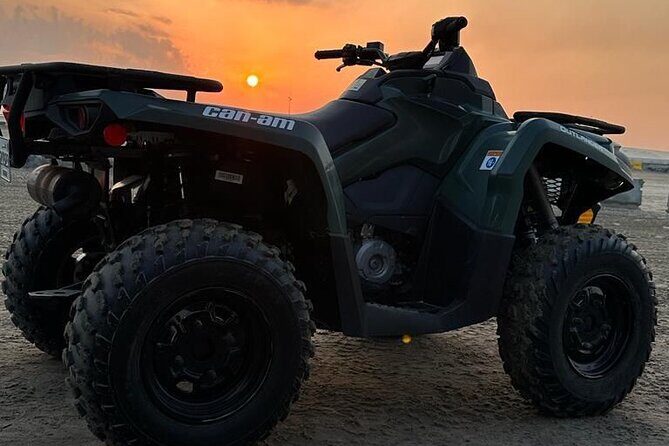 Private-Doha Horse Ride/Camel Ride/Quad Bike All Inclusive Tour - An Introduction to the Desert Adventure in Doha