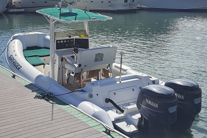 Private Dolphin and Whale Watching Tour in Newport Beach - Why It’s Worth Considering