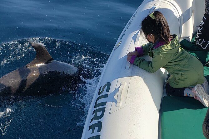 Private Dolphin and Whale Watching Tour in Newport Beach - The Sum Up